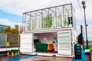 Grow Up Hydroponics Box